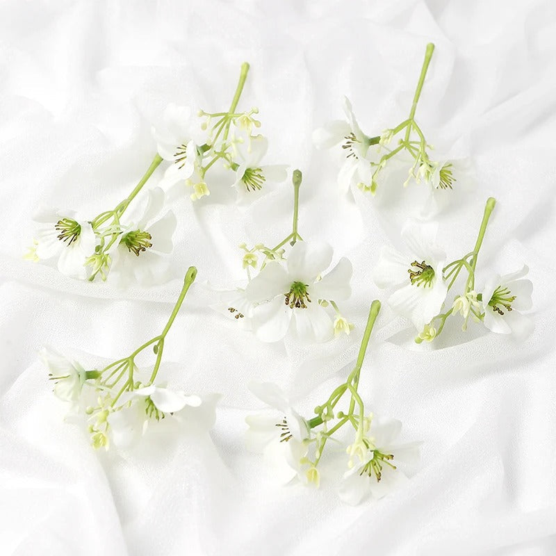 Fleur Éternelle (lot de 5)